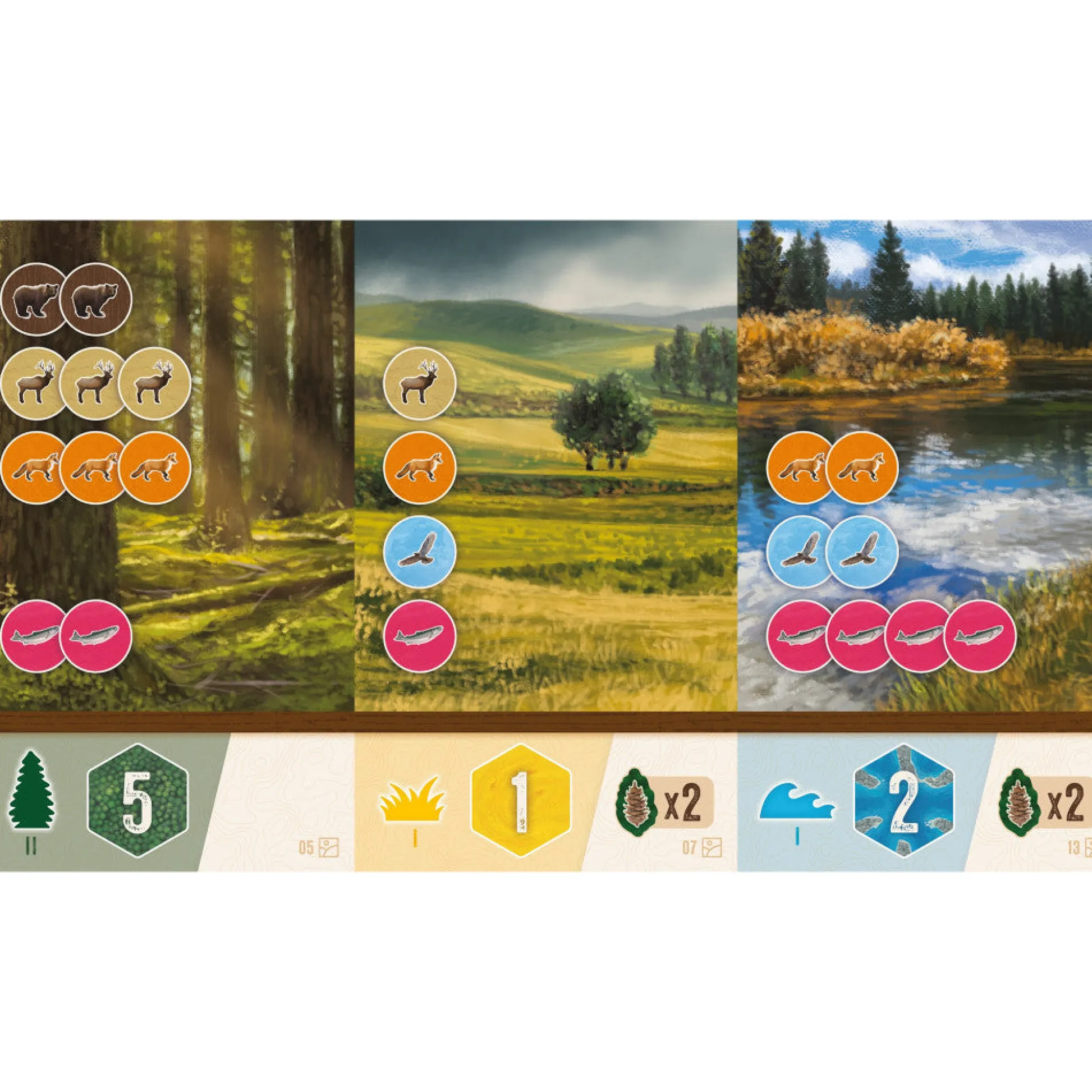 Flat River Group AEG Cascadia: Rolling Hills - Dynamic Flip-Roll-Write Board Game for Families* Dice, Roll & Write Games