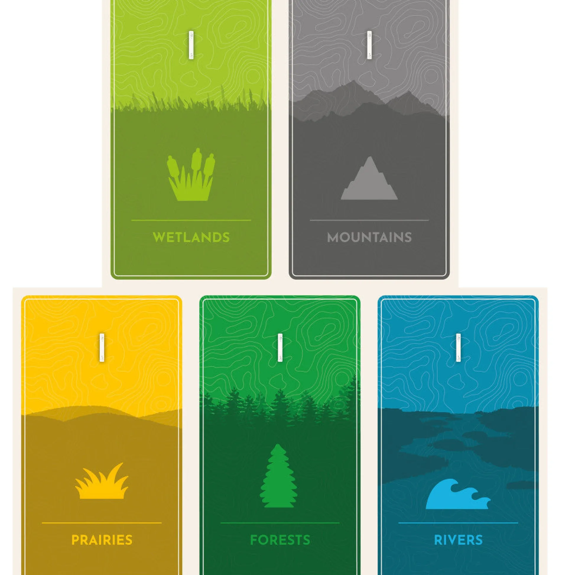 Flat River Group AEG: Cascadia: Rolling Rivers - Dynamic Dice Habitat Game* Dice, Roll & Write Games