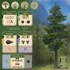 Flat River Group AEG: Undergrove - Forest Fungi Strategy Board Game* Role-Playing Games|Board Games