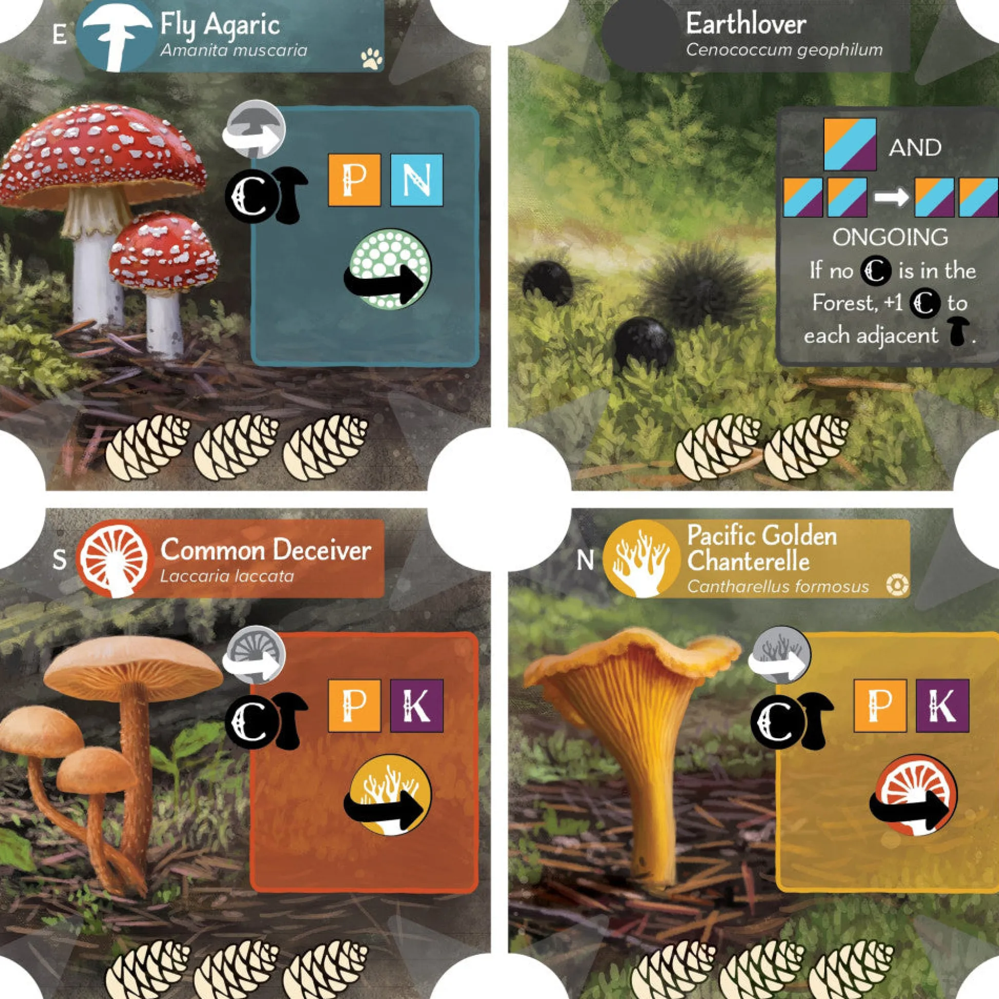 Flat River Group AEG: Undergrove - Forest Fungi Strategy Board Game* Role-Playing Games|Board Games