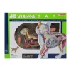AreYouGame Be Good Company - 4D Vision Orange Cat Anatomy Model - Educational Toy* Science & Discovery