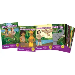 Flat River Group Beanstalk Books: The Beanies Hi-Lo Diversity Decodables - 20 Book Set, Phase 5*Kids Reading, Writing & Speech|Kids Books