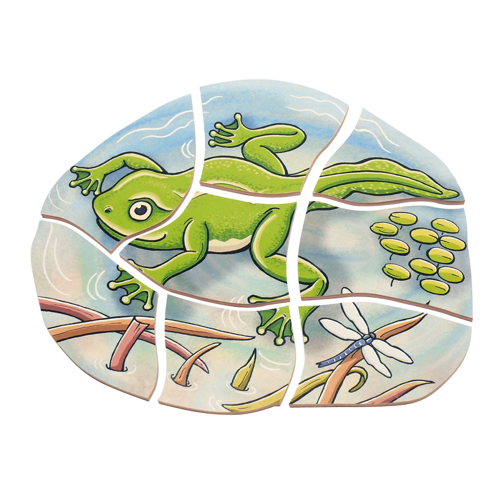 Educators Resource Beleduc Layer Puzzle - Frog Lifecycle - 5 Wooden Layers - 28 Pieces* Puzzles