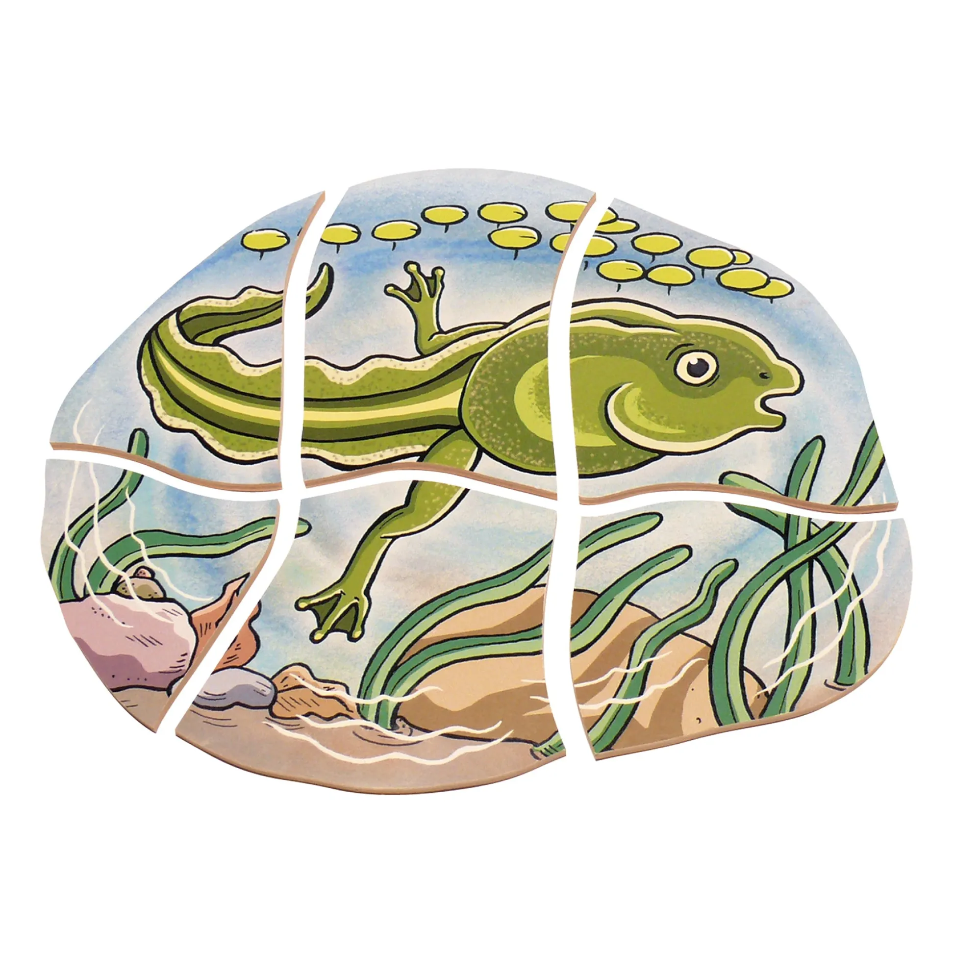 Educators Resource Beleduc Layer Puzzle - Frog Lifecycle - 5 Wooden Layers - 28 Pieces* Puzzles