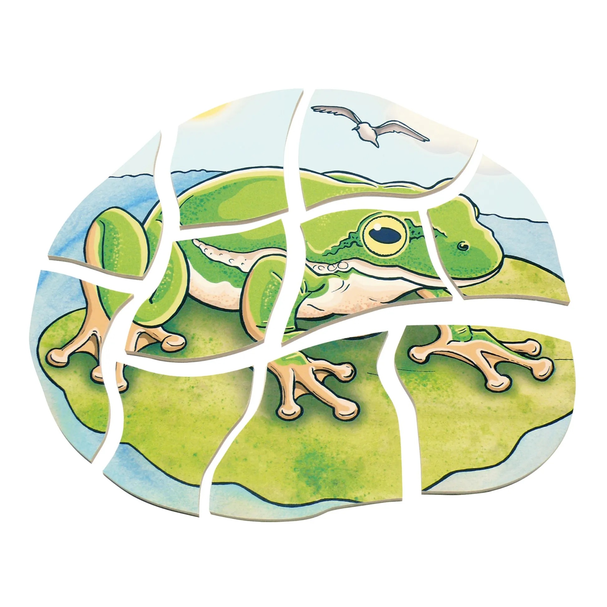 Educators Resource Beleduc Layer Puzzle - Frog Lifecycle - 5 Wooden Layers - 28 Pieces* Puzzles