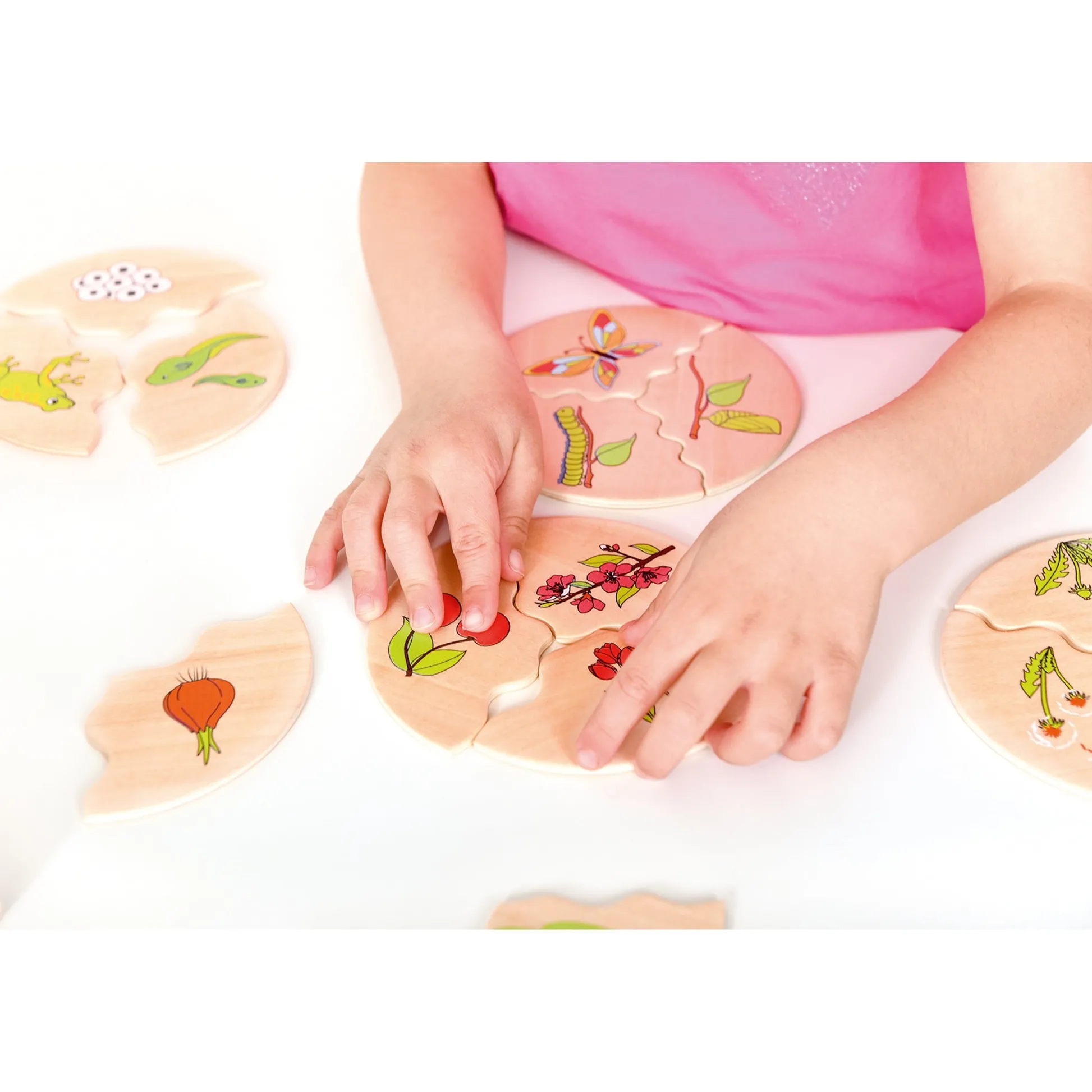 Educators Resource Beleduc Nawito 10-Pack Evolution Wooden Puzzles - 30 pc* Puzzles