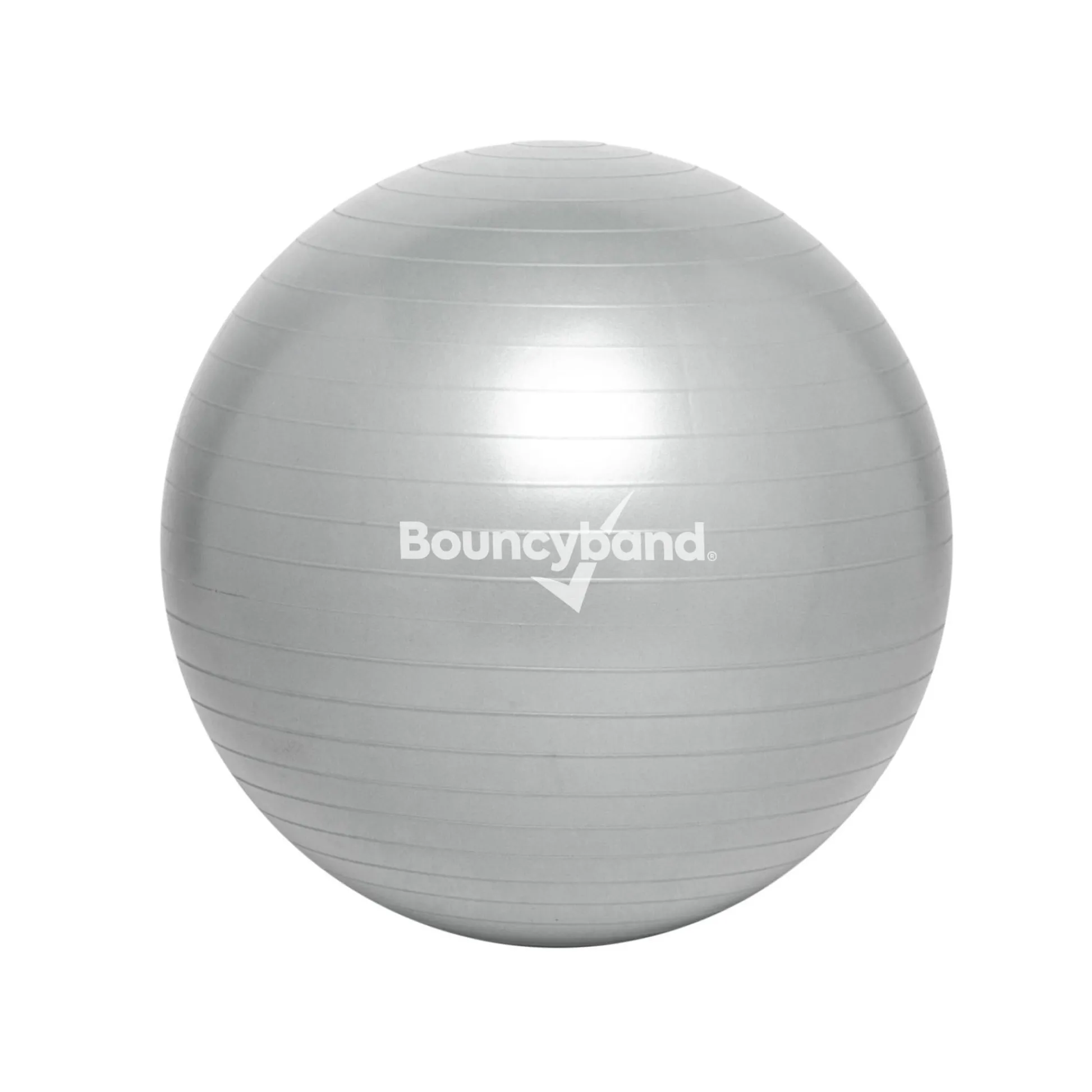 Educators Resource Bouncyband Balance Ball 55cm - Dynamic Silver Seating* Activities & Games