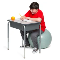 Educators Resource Bouncyband Balance Ball 55cm - Dynamic Silver Seating* Activities & Games