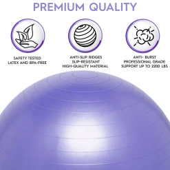Educators Resource Bouncyband® Balance Ball, 55cm, Purple - Focus & Fitness Enhancer* Activities & Games