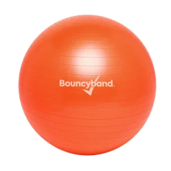 Educators Resource Bouncyband Balance Ball Chair, 65cm - Energizing Orange* Activities & Games