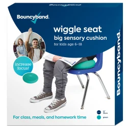 Educators Resource Bouncyband Big Wiggle Seat Sensory Cushion in Mint - Movement & Focus for Kids!* Preschool Education Toys & Activities