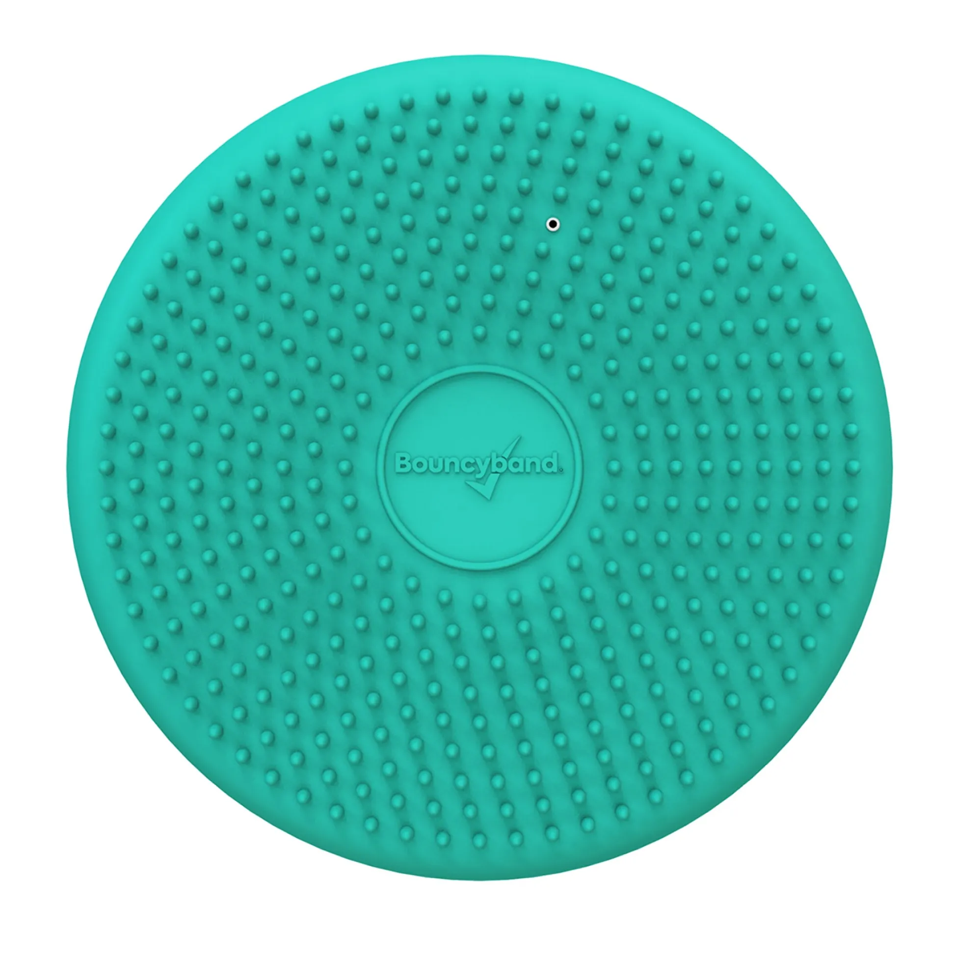 Educators Resource Bouncyband Big Wiggle Seat Sensory Cushion in Mint - Movement & Focus for Kids!* Preschool Education Toys & Activities
