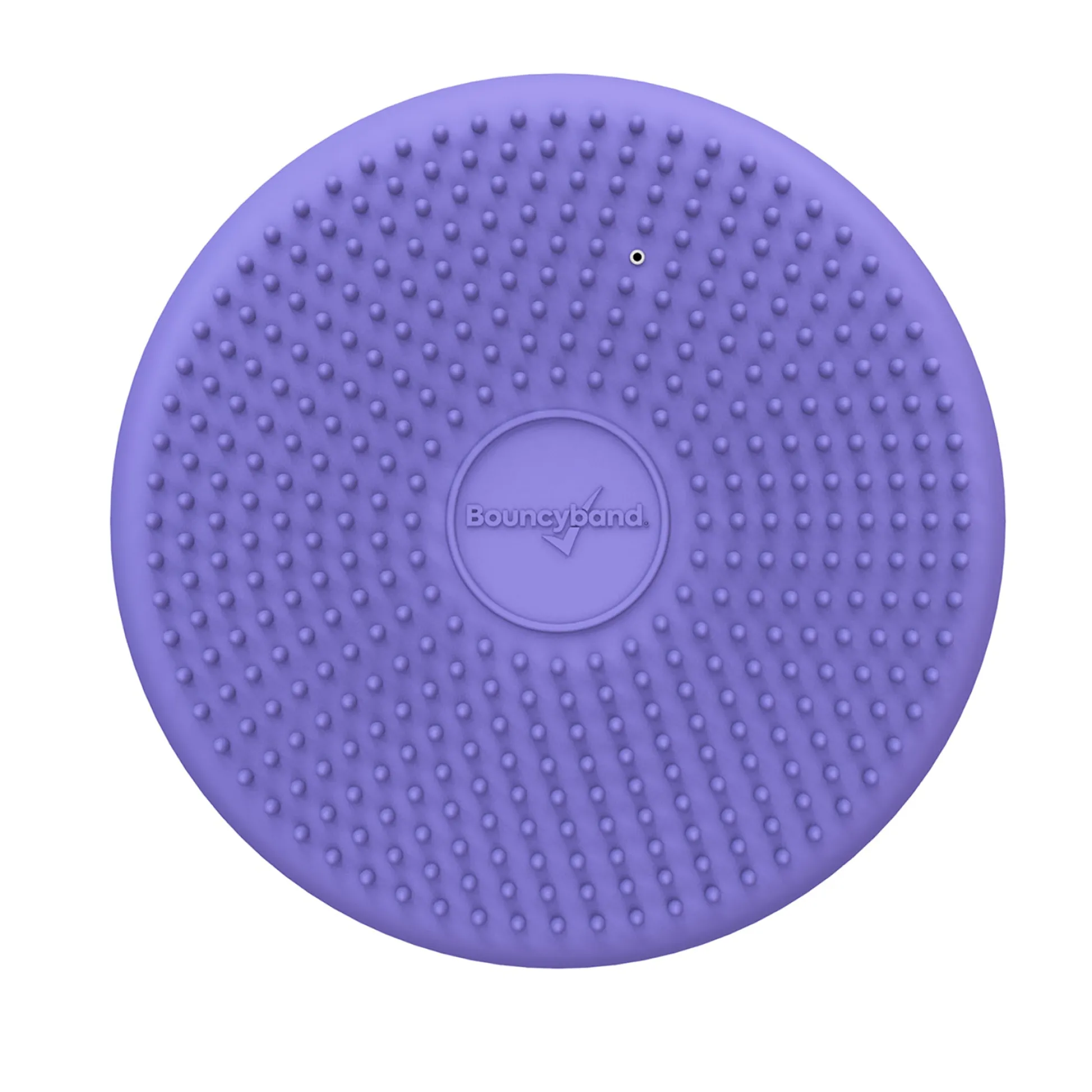 Educators Resource Bouncyband Little Wiggle Seat Sensory Cushion, Playful Purple* Sensory & Fidget Toys