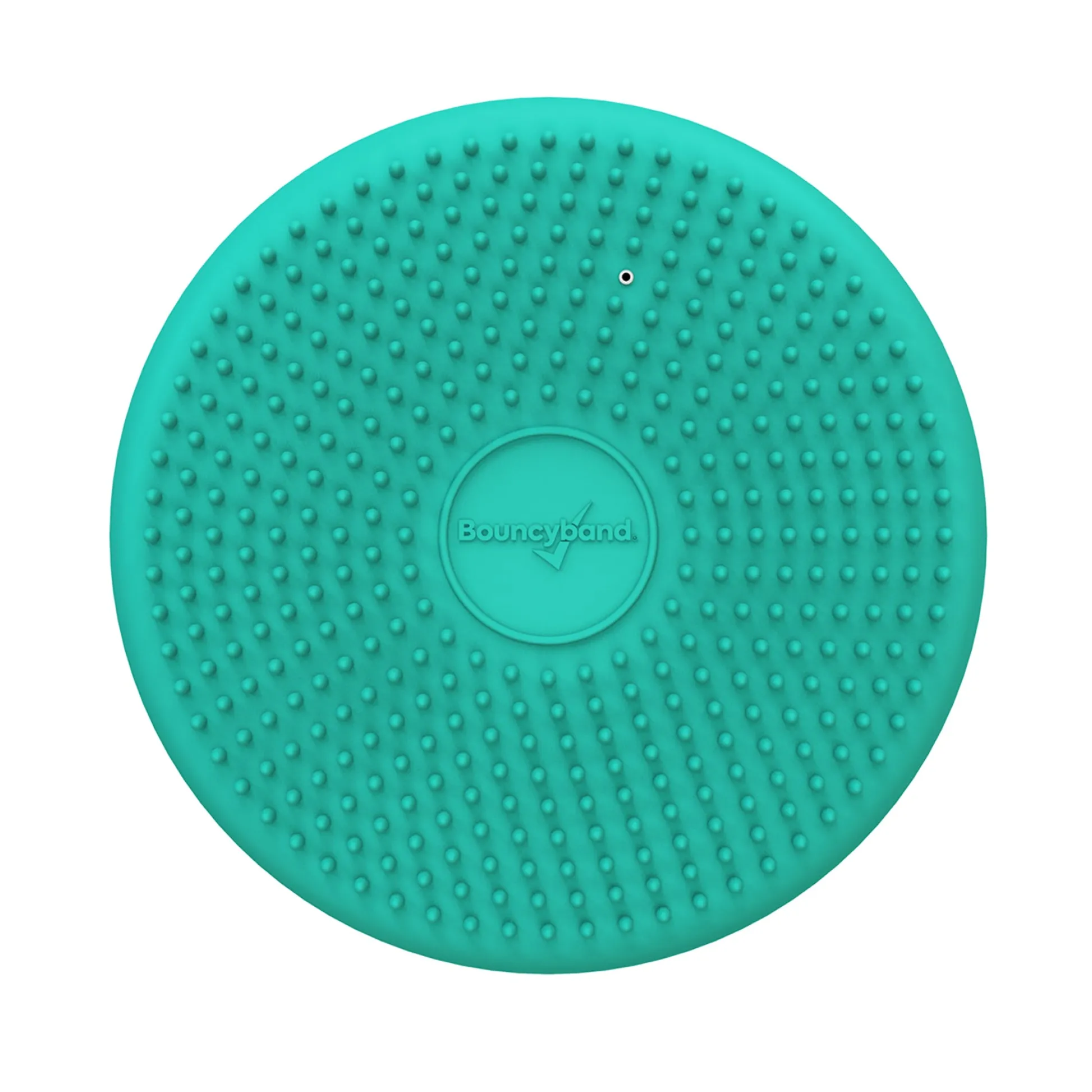 Educators Resource Bouncyband Little Wiggle Seat Sensory Cushion, Mint - Calming Movement for Kids* Preschool Education Toys & Activities