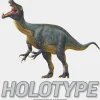 Flat River Group Brexwerx Games: Holotype - Mesozoic Europe Expansion - Paleontology Strategy Board Game* Role-Playing Games|Board Games