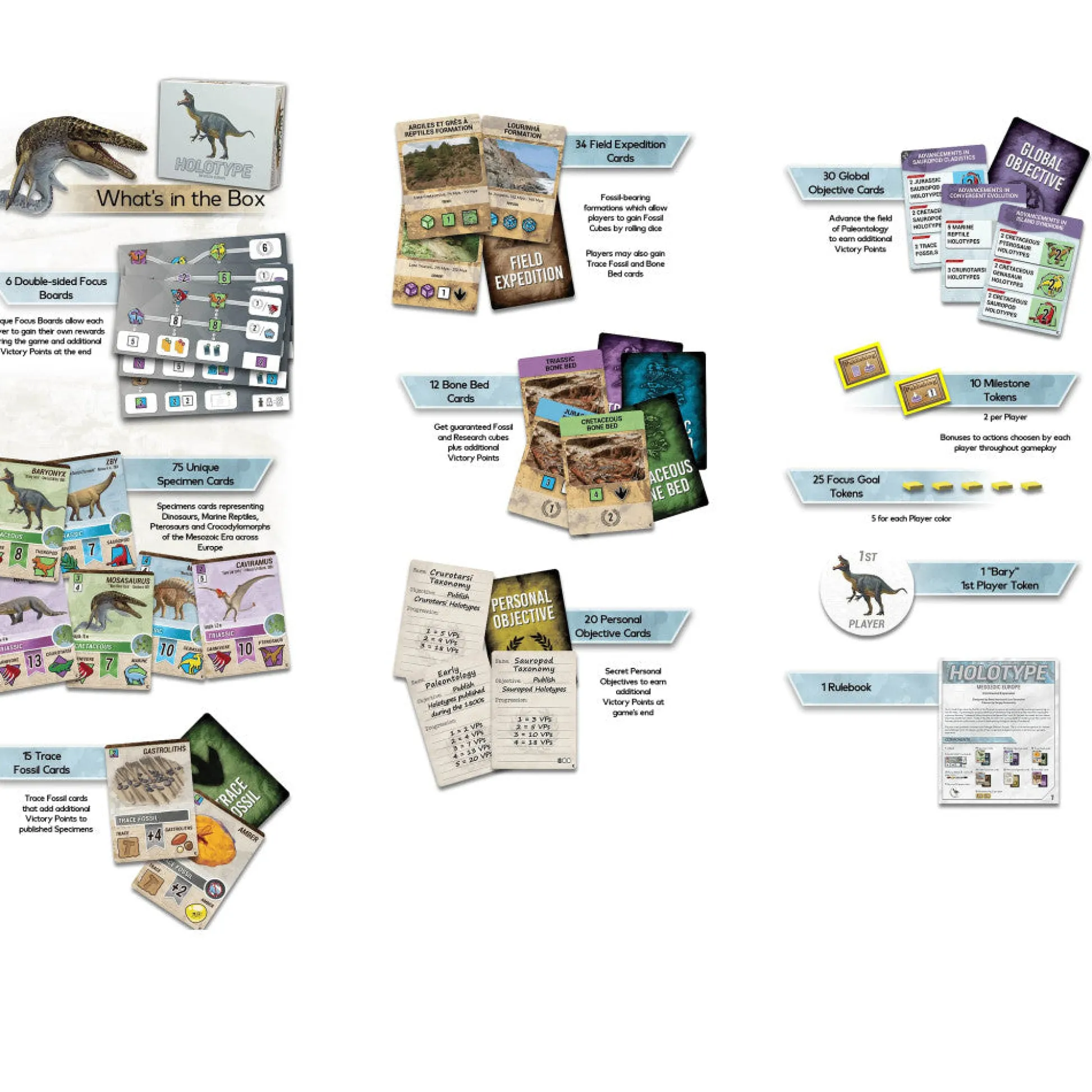 Flat River Group Brexwerx Games: Holotype - Mesozoic Europe Expansion - Paleontology Strategy Board Game* Role-Playing Games|Board Games