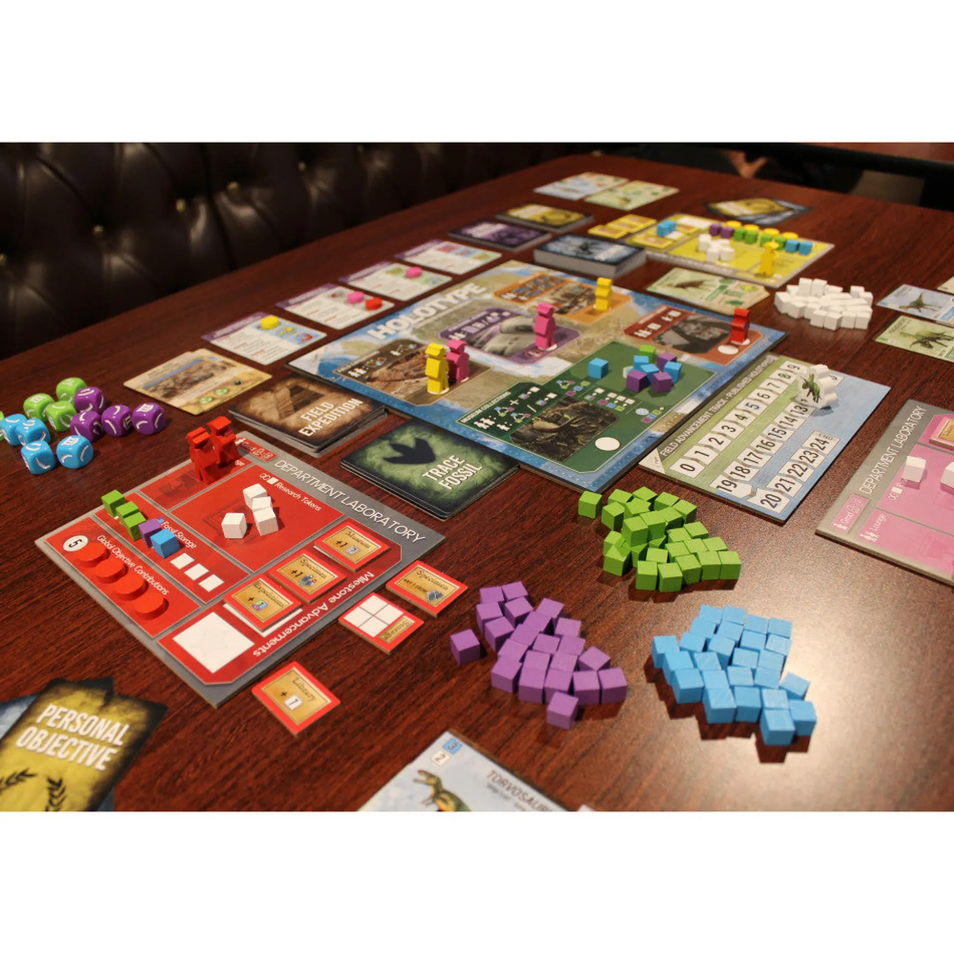 Flat River Group Brexwerx Games: Holotype: Mesozoic North America - Strategic Paleontology Board Game* Board Games|Role-Playing Games