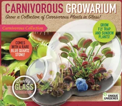 The Distribution Solutions Carnivorous Growarium Deluxe Terrarium Kit for Carnivorous Plants* Science & Discovery