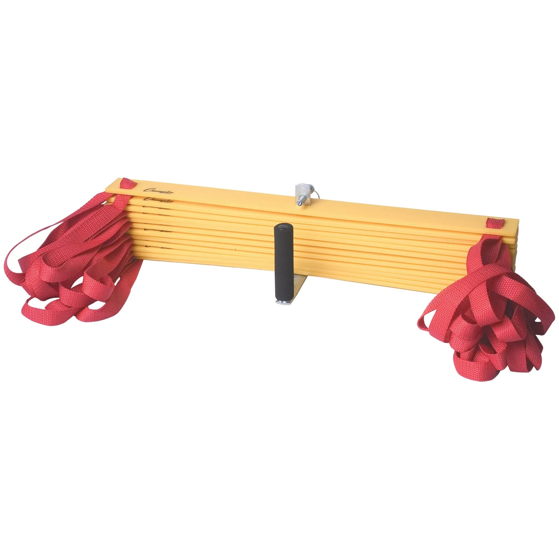 Educators Resource Champion Sports Economy Agility Ladder - Fitness Mastery Tool* Toy Sports