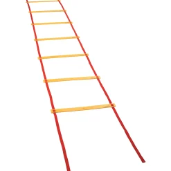 Educators Resource Champion Sports Economy Agility Ladder - Fitness Mastery Tool* Toy Sports