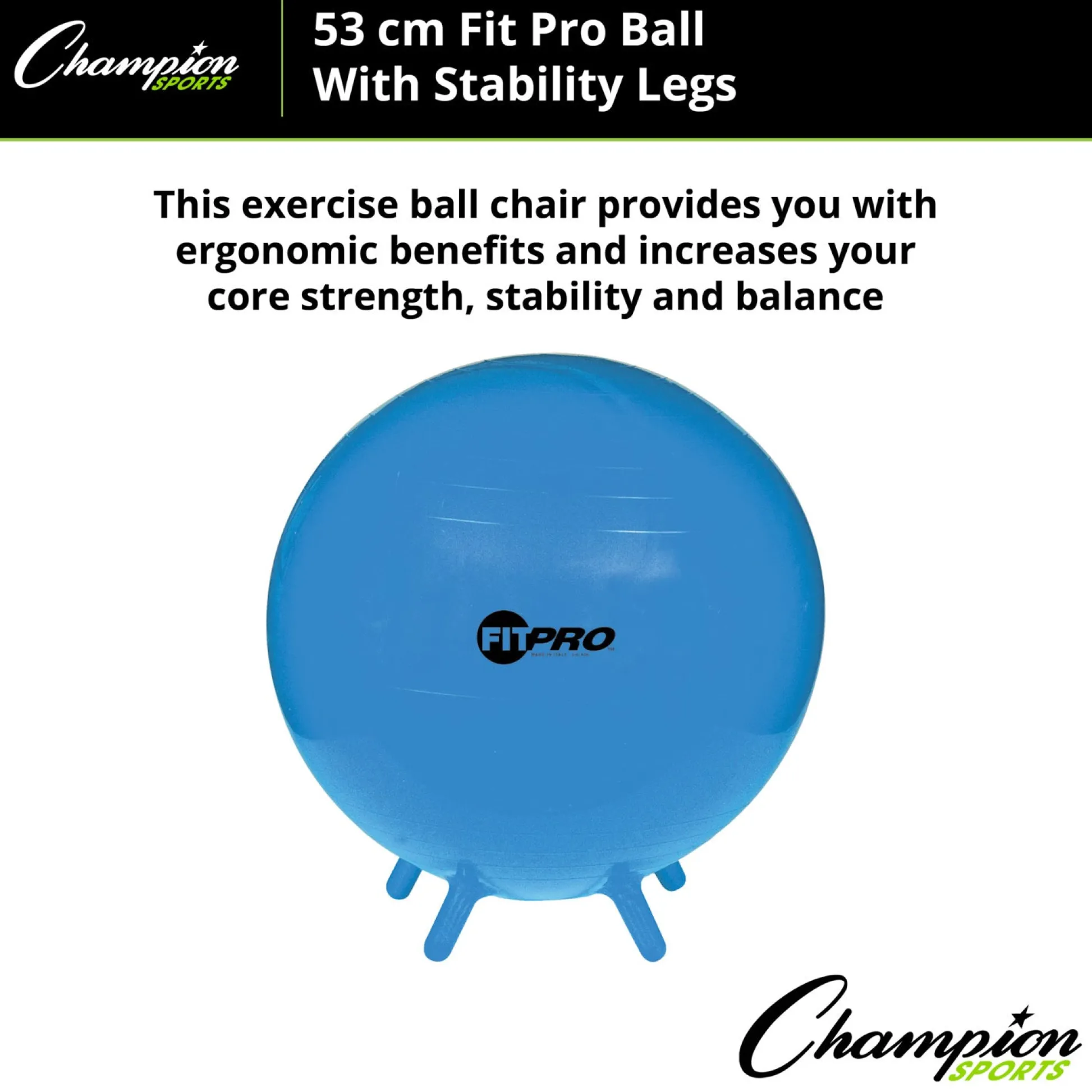 Educators Resource Champion Sports FitPro Stability Leg Ball, 55cm - Royal Blue* Toy Sports