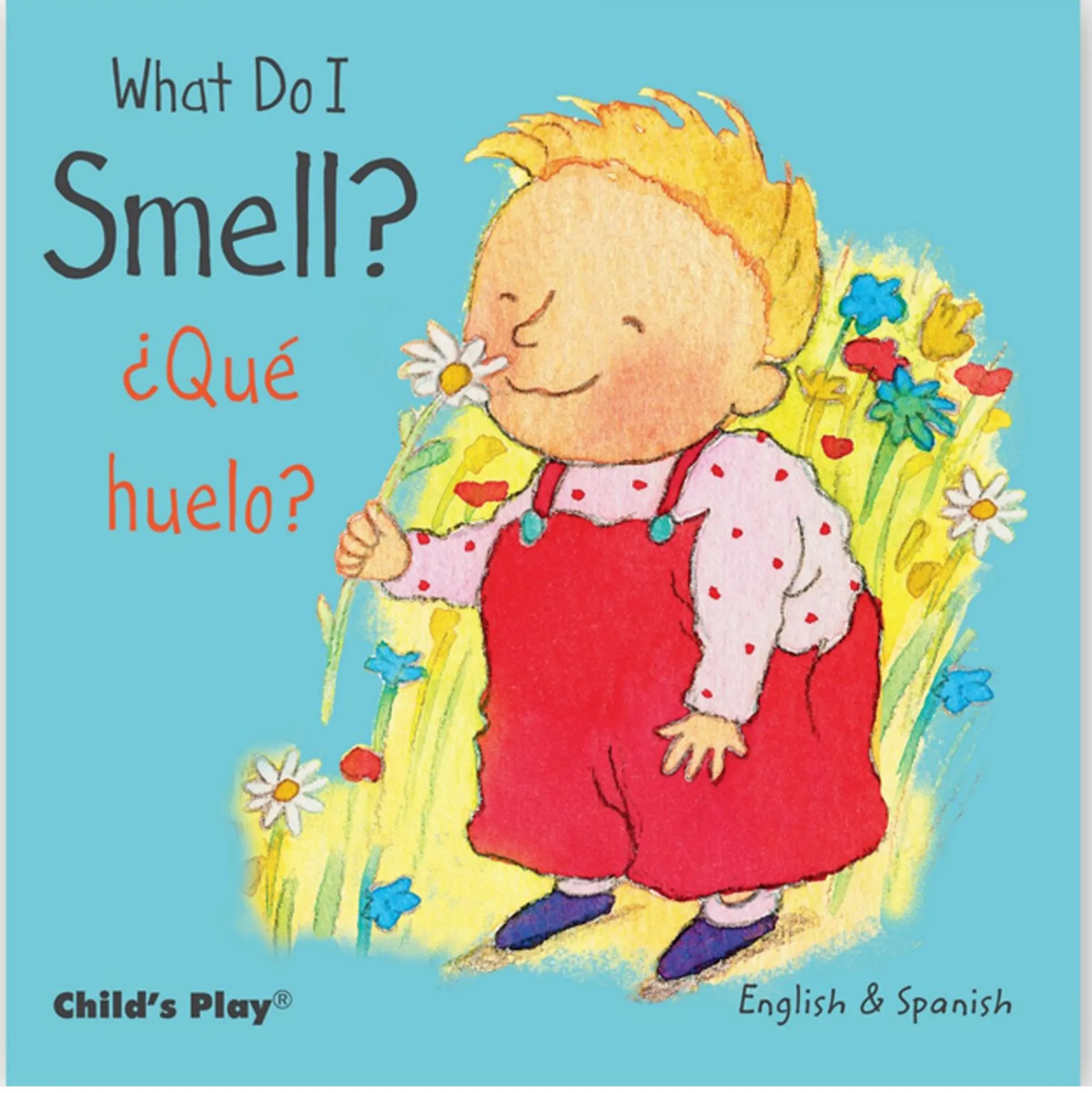 Educators Resource Child's Play Books Small Senses 5-Piece Bilingual Board Book Set*Kids Kids Books|Boxed Book Sets