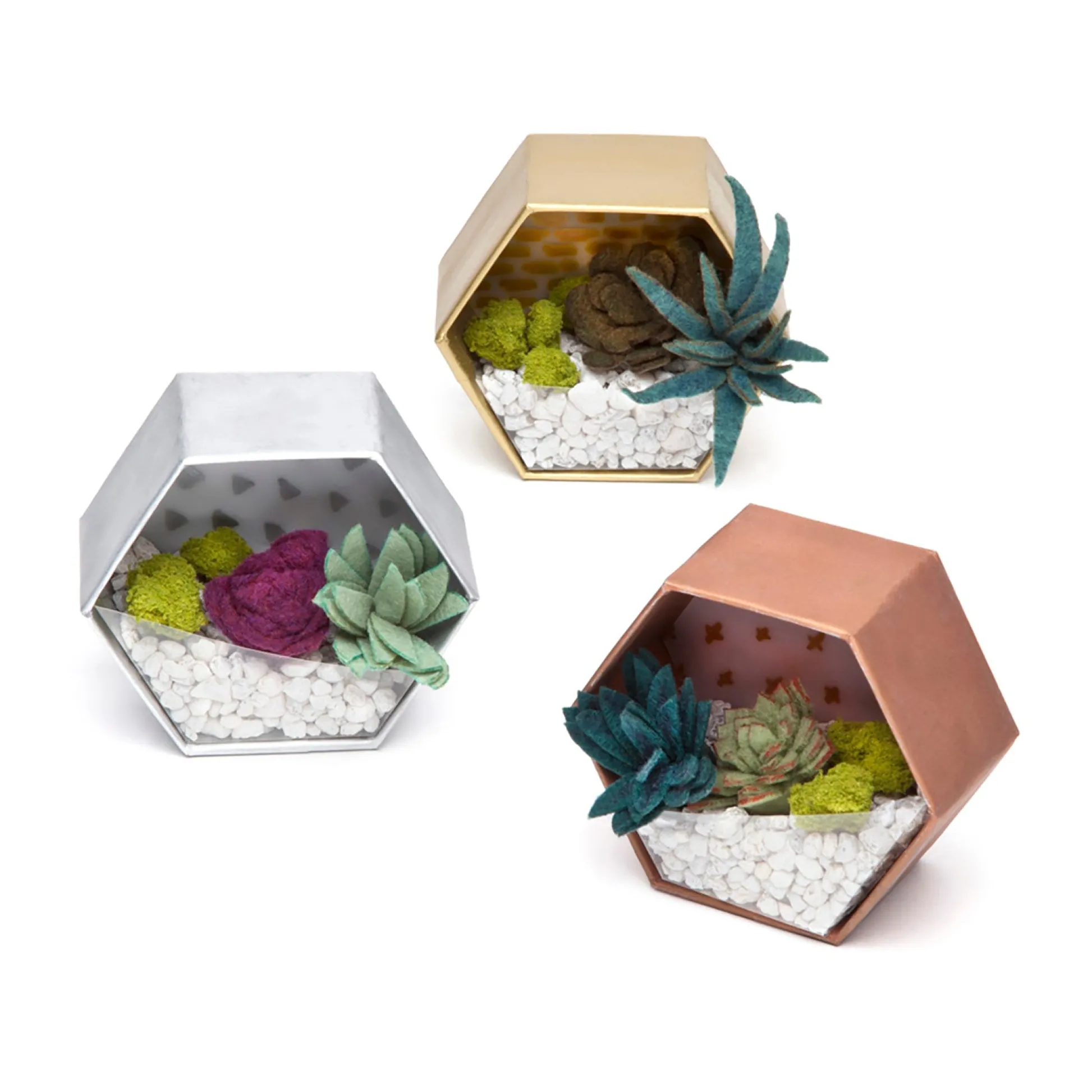 AreYouGame Craft Crush Mini Terrariums Kit - Create Felt Succulent Displays* Crafts & Activities