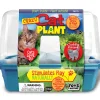 The Distribution Solutions Crazy Cat Plant - Ultimate Catnip Growing Kit - Eco-Friendly* Crafts & Activities