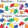 Educators Resource Curious Cats Board Book Set by Arlie Anderson, 4-Piece*Kids Kids Books|Boxed Book Sets