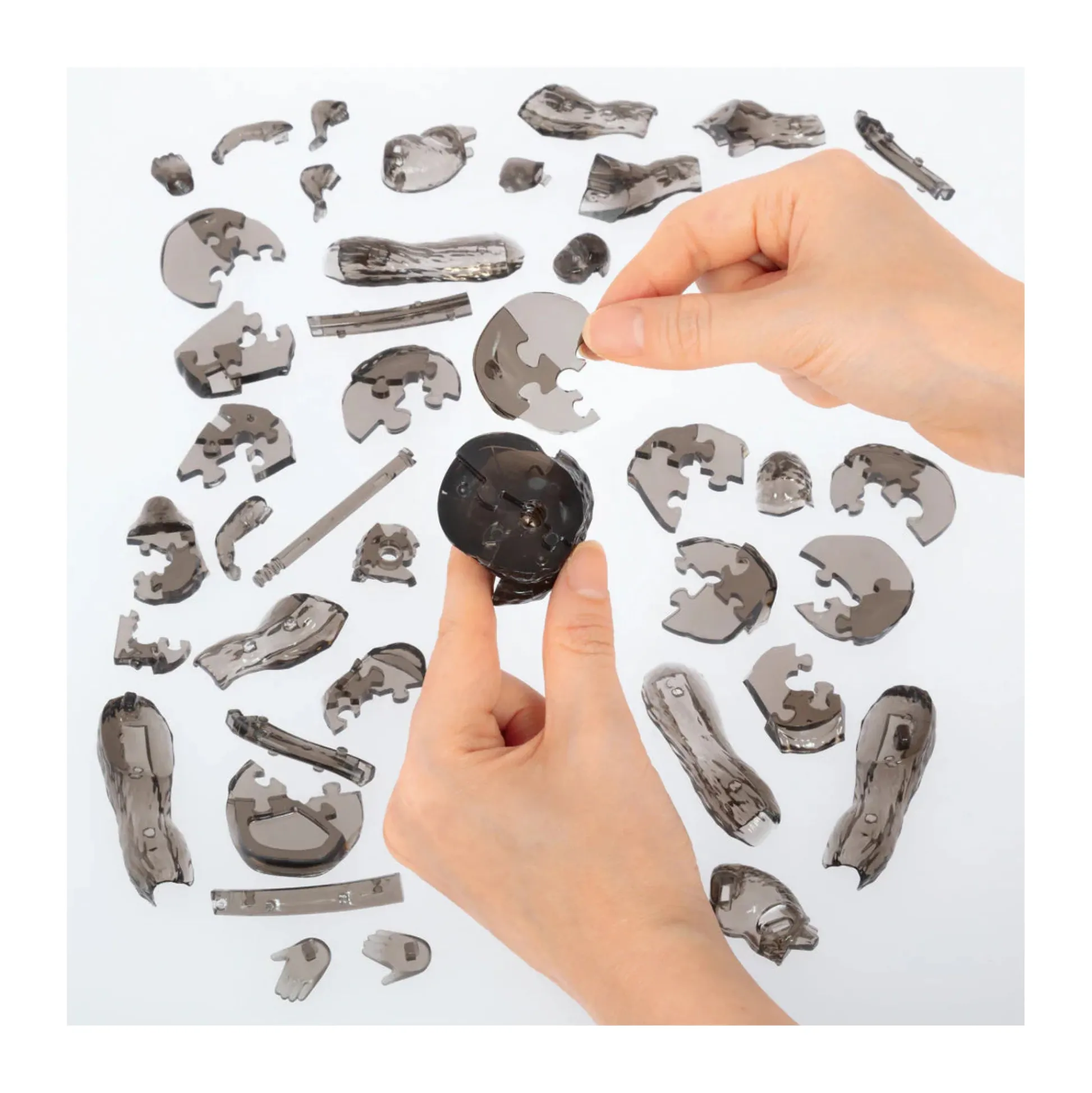 AreYouGame 3D Crystal Puzzle - Gorilla and Baby (Black): 48 Pcs* Puzzles