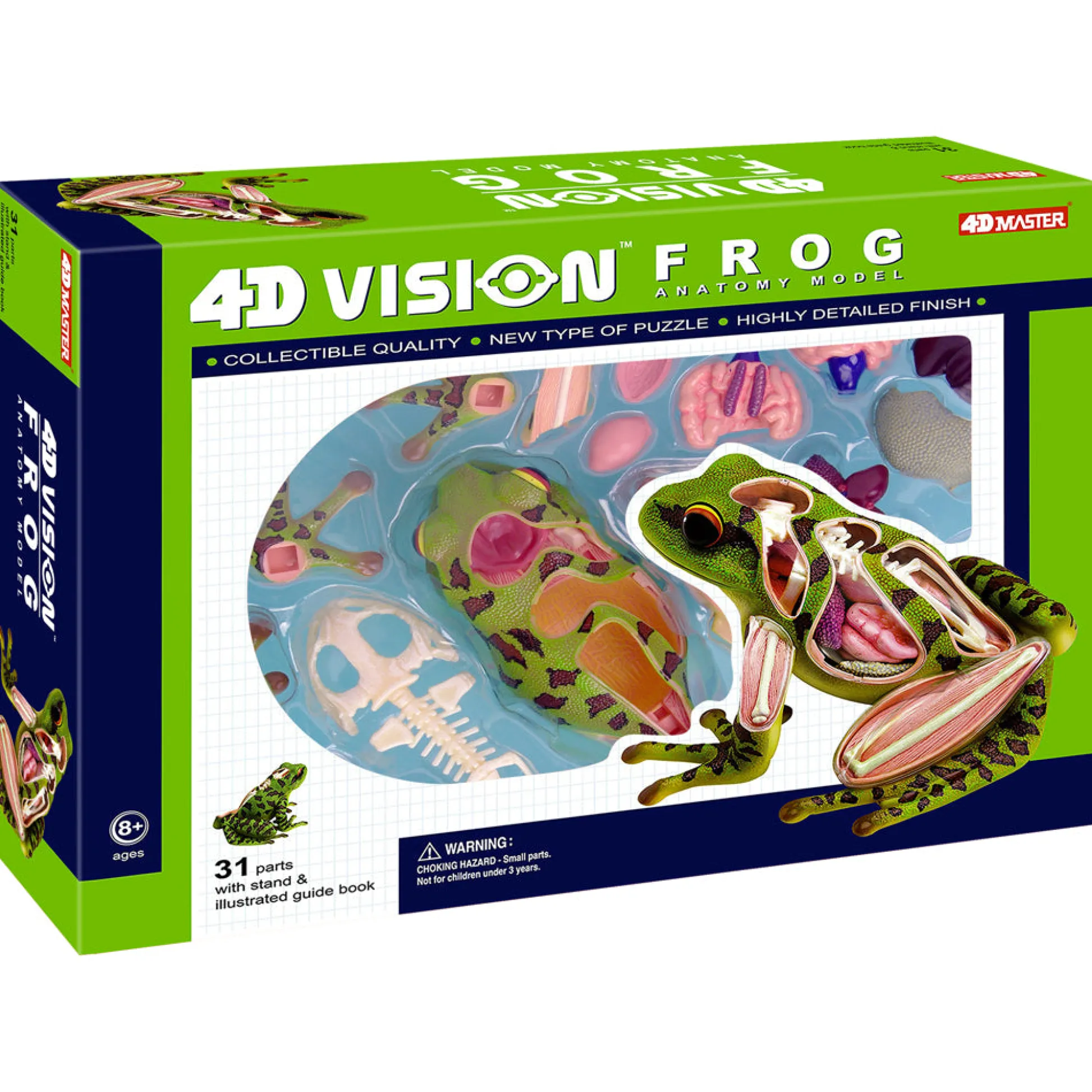 AreYouGame 4D Master Frog Anatomy Model Educational Science Kit* Science & Discovery