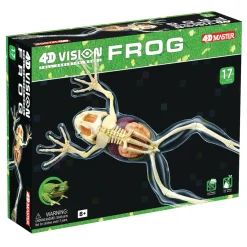 AreYouGame 4D Master Full Skeleton Frog Model Anatomy Kit* Science & Discovery