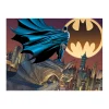 AreYouGame DC Comics Batman 3D Lenticular Jigsaw Puzzle - 500 pc* Puzzles|Dc Comics