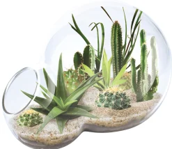 The Distribution Solutions Desert Escape Growarium: Exquisite Miniature Desert Ecosystem* Science & Discovery