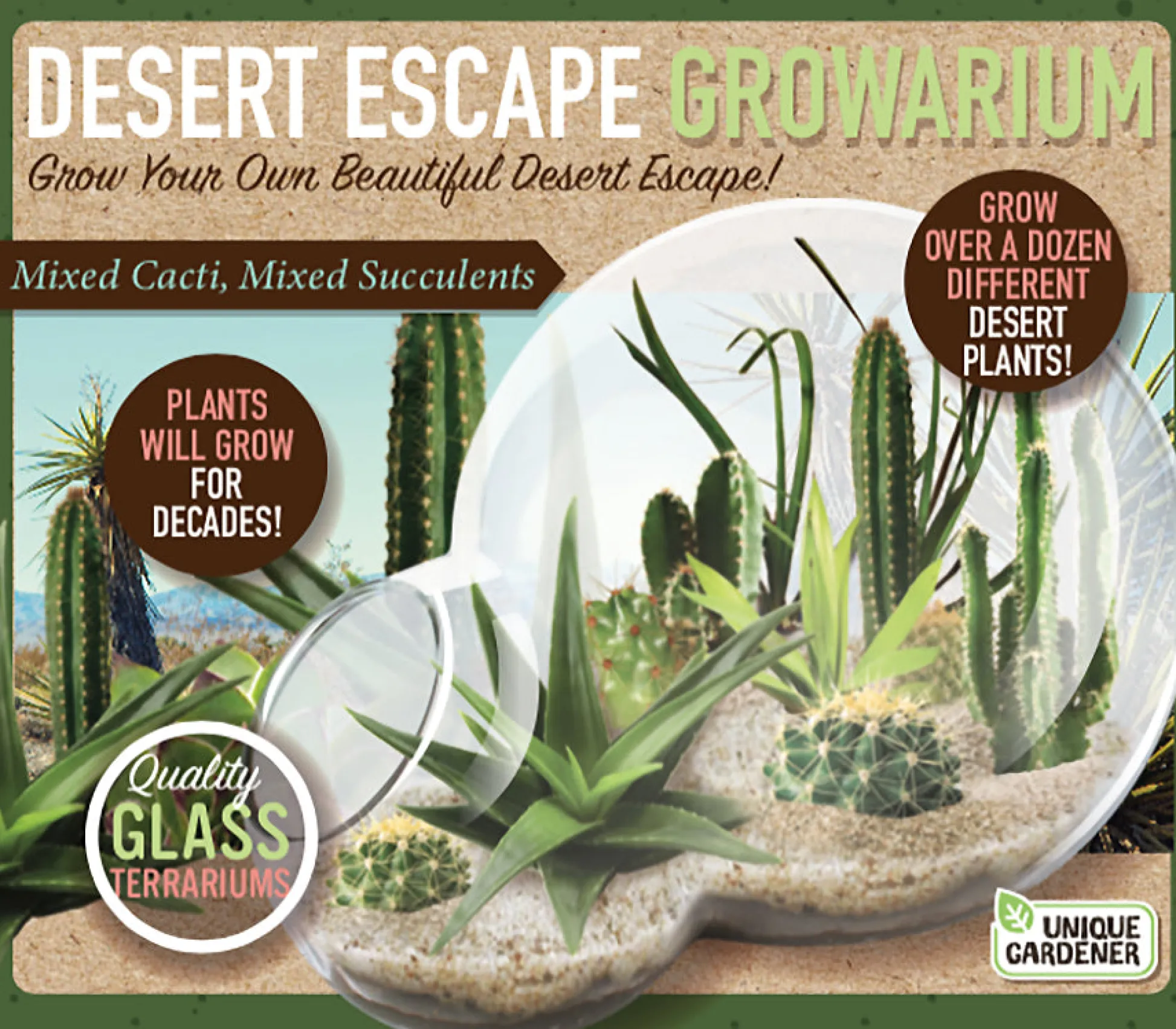 The Distribution Solutions Desert Escape Growarium: Exquisite Miniature Desert Ecosystem* Science & Discovery