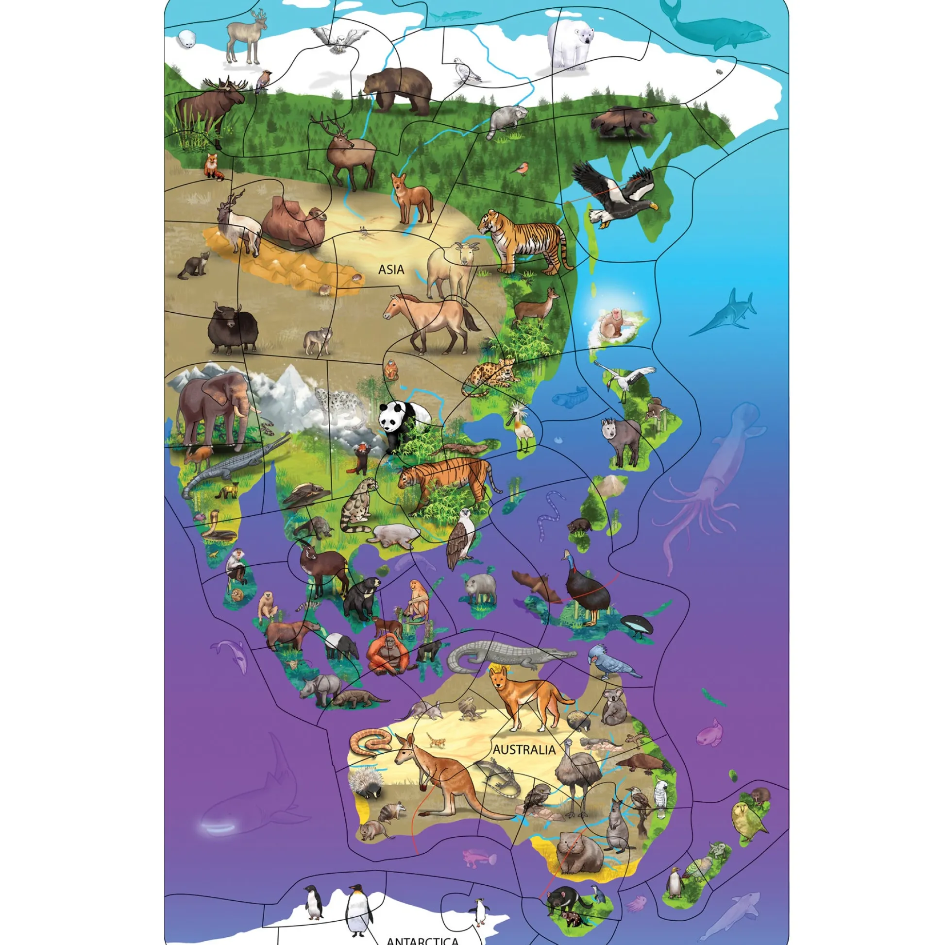 Educators Resource Dowling Magnets Animal Magnetism Magnetic Wildlife Map Puzzle - Asia & Australia* Puzzles