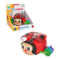 AreYouGame Early Learning Crawl About Ladybug - Interactive Crawling Toy* Developmental Toys