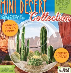 The Distribution Solutions EcoSphere - Mini Desertscape - Vibrant Glass Terrarium Kit* Crafts & Activities