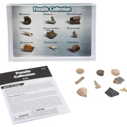 Educators Resource Educational Insights GeoSafari Rock and Fossil Explorer Set - 57 Pieces* Science & Discovery