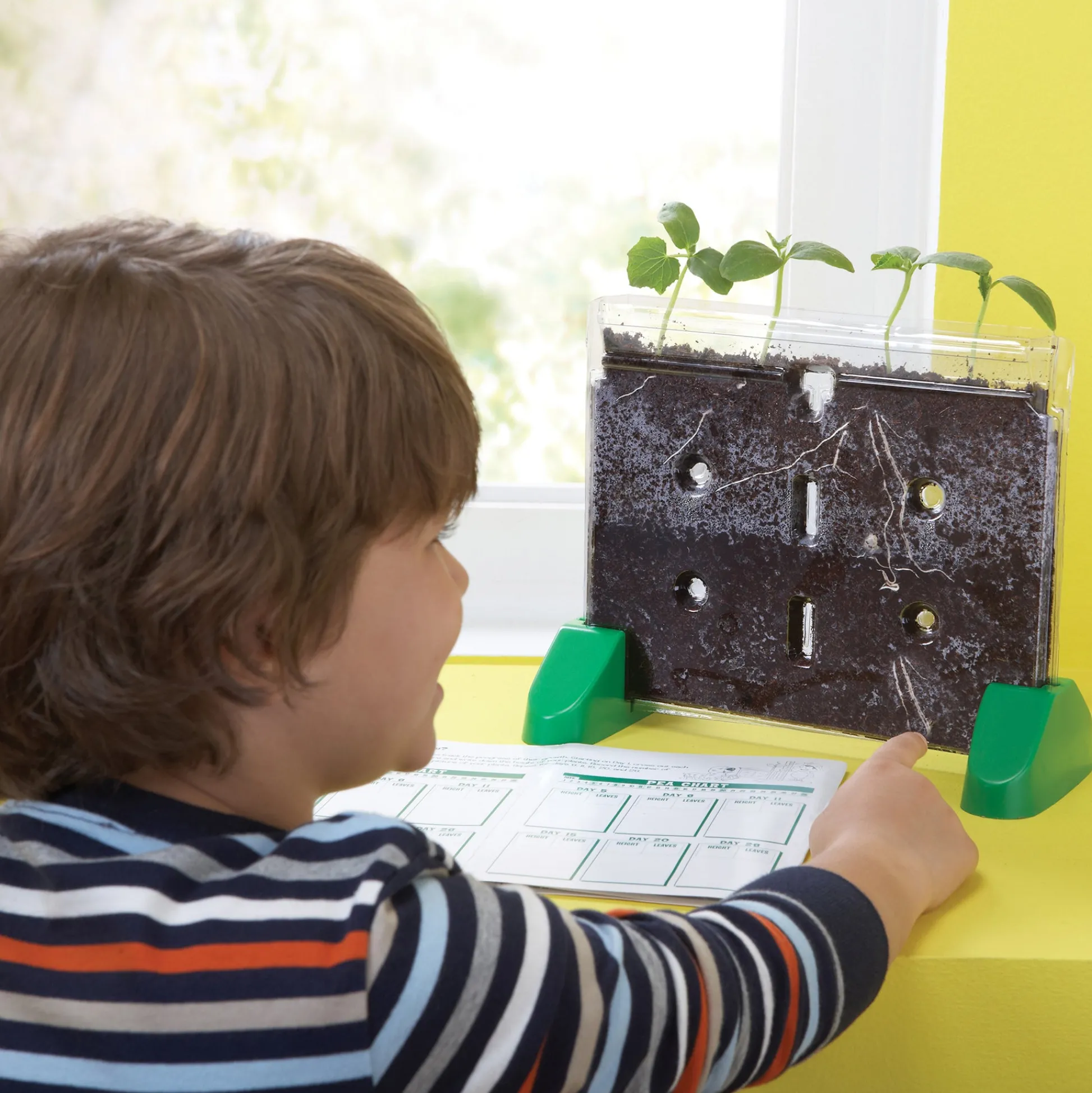 Educators Resource Educational Insights Sprout & Grow Window Plant Science Kit* Science & Discovery