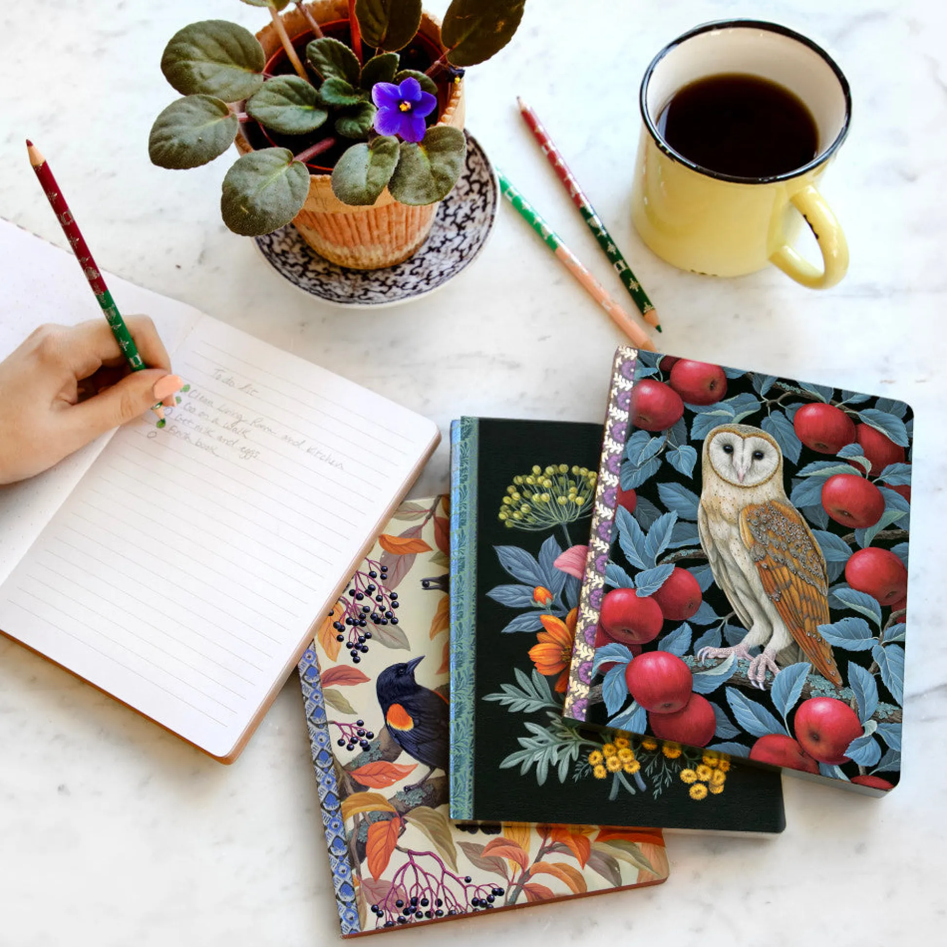 Flat River Group eeBoo Piece & Love Barn Owl Gilded Journal - Hardcover Diary* Drawing, Color & Painting