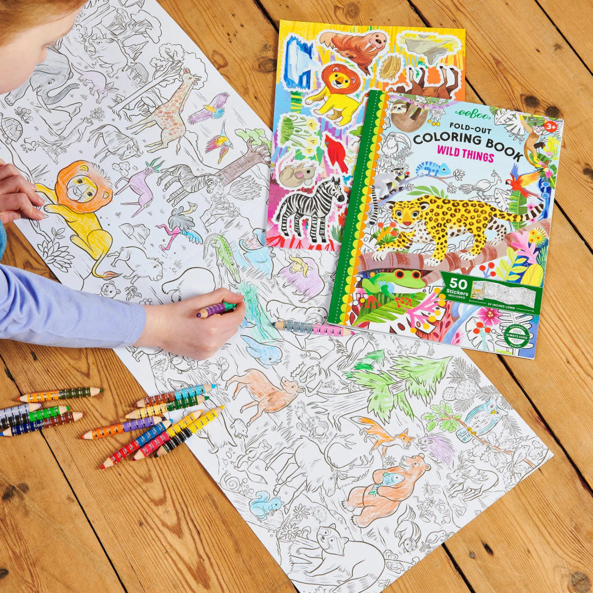 Flat River Group eeBoo Wild Things Fold-Out Coloring Mural Book with 50 Shiny Stickers*Kids Kids Books|Drawing, Color & Painting