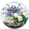 The Distribution Solutions Enchanted Garden Mini Fairy Triad Glass Terrarium Kit* Crafts & Activities