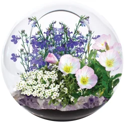 The Distribution Solutions Enchanted Garden Mini Fairy Triad Glass Terrarium Kit* Crafts & Activities