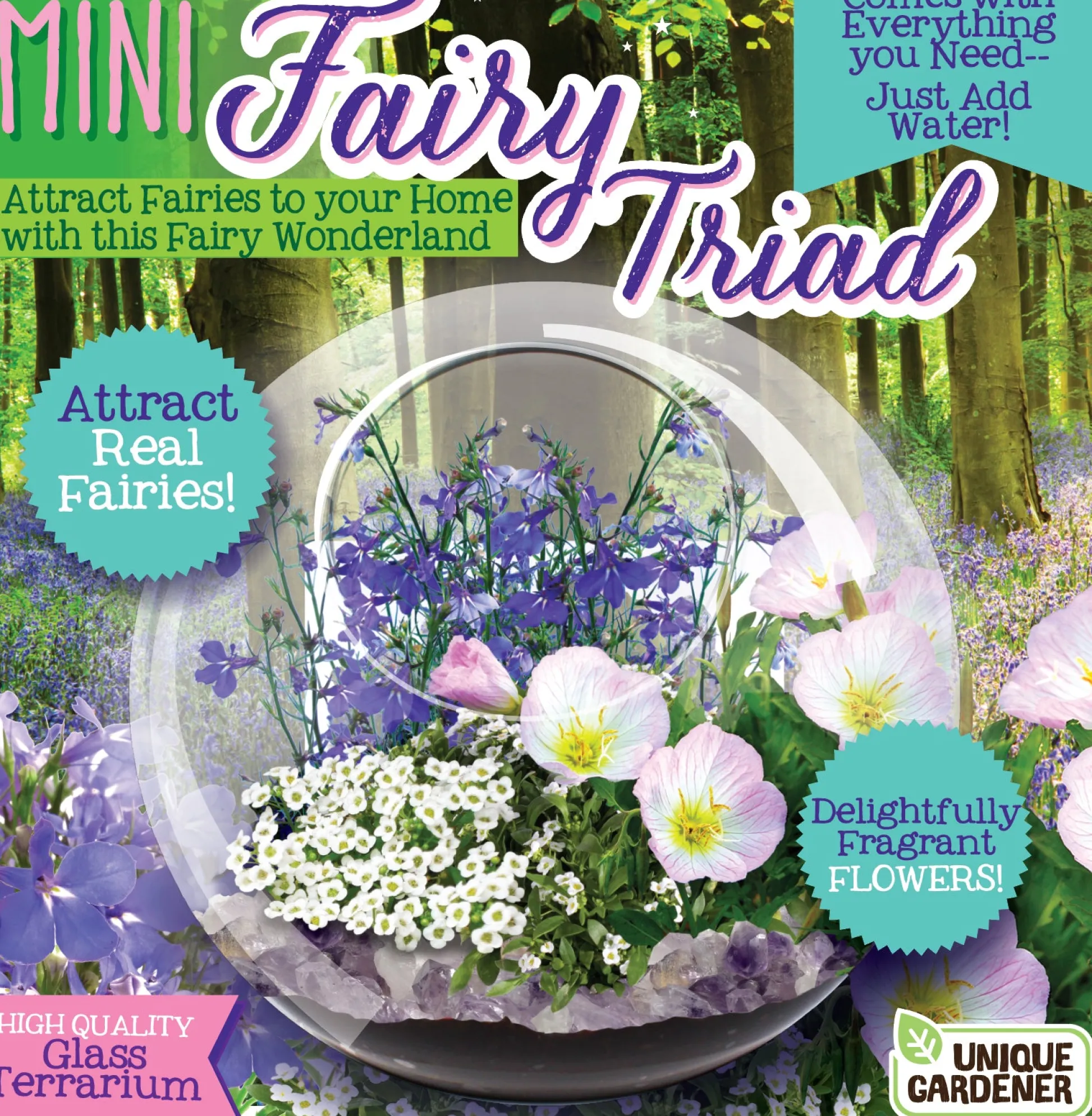The Distribution Solutions Enchanted Garden Mini Fairy Triad Glass Terrarium Kit* Crafts & Activities