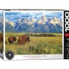 Flat River Group Eurographics Grand Teton National Park Scenic Jigsaw Puzzle - 1000 pc* Puzzles