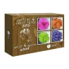 AreYouGame Family Games Inc. Colorful 4-Pack Wooden Puzzles Set* Puzzles