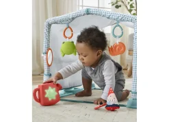 Macy's - Supplier Fisher-Price 3-in-1 Crawl & Play Activity Gym Cottage Theme* Activity Centers