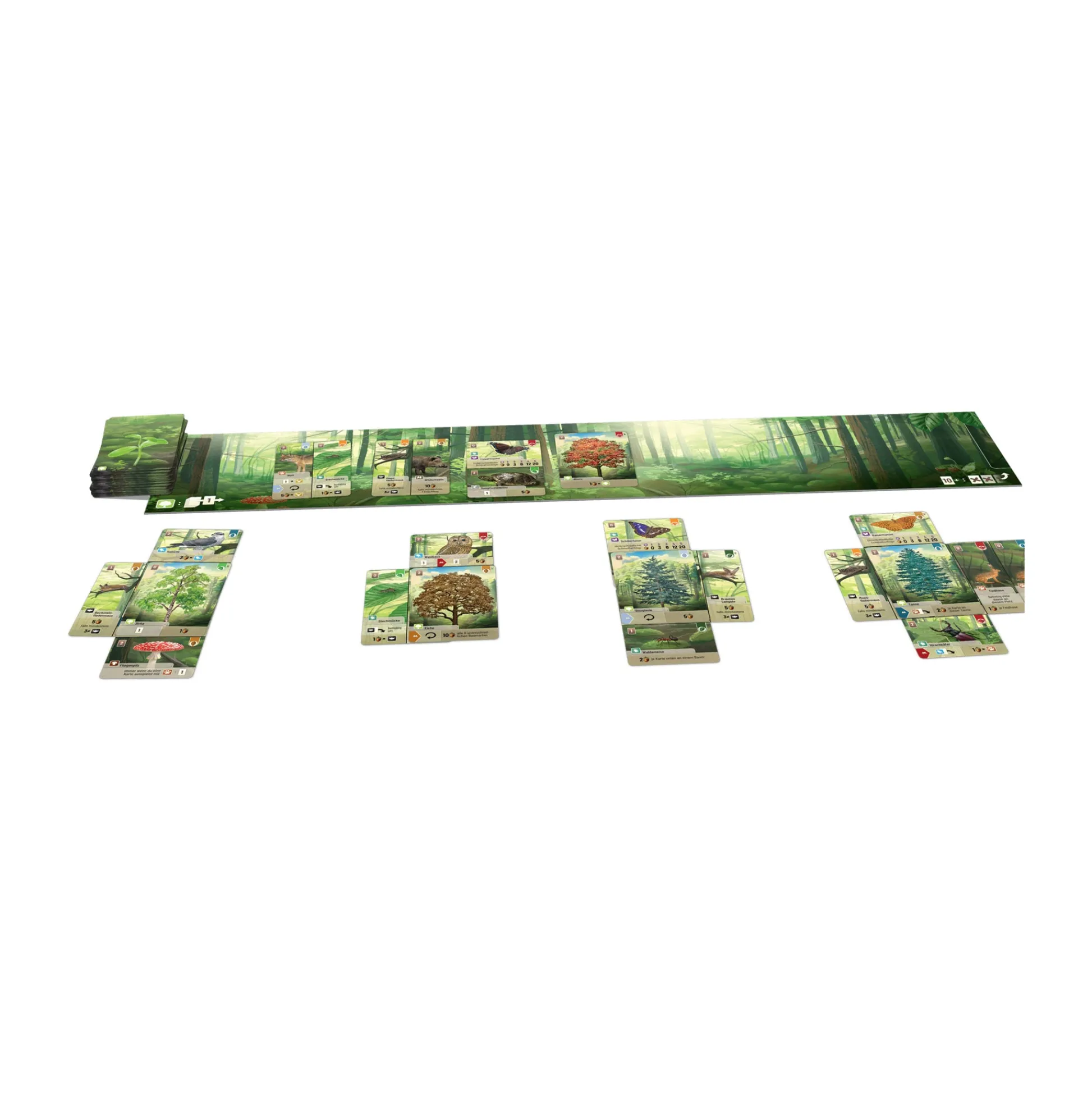 AreYouGame Forest Shuffle: Strategic Card Game for Nature Lovers* Card Games