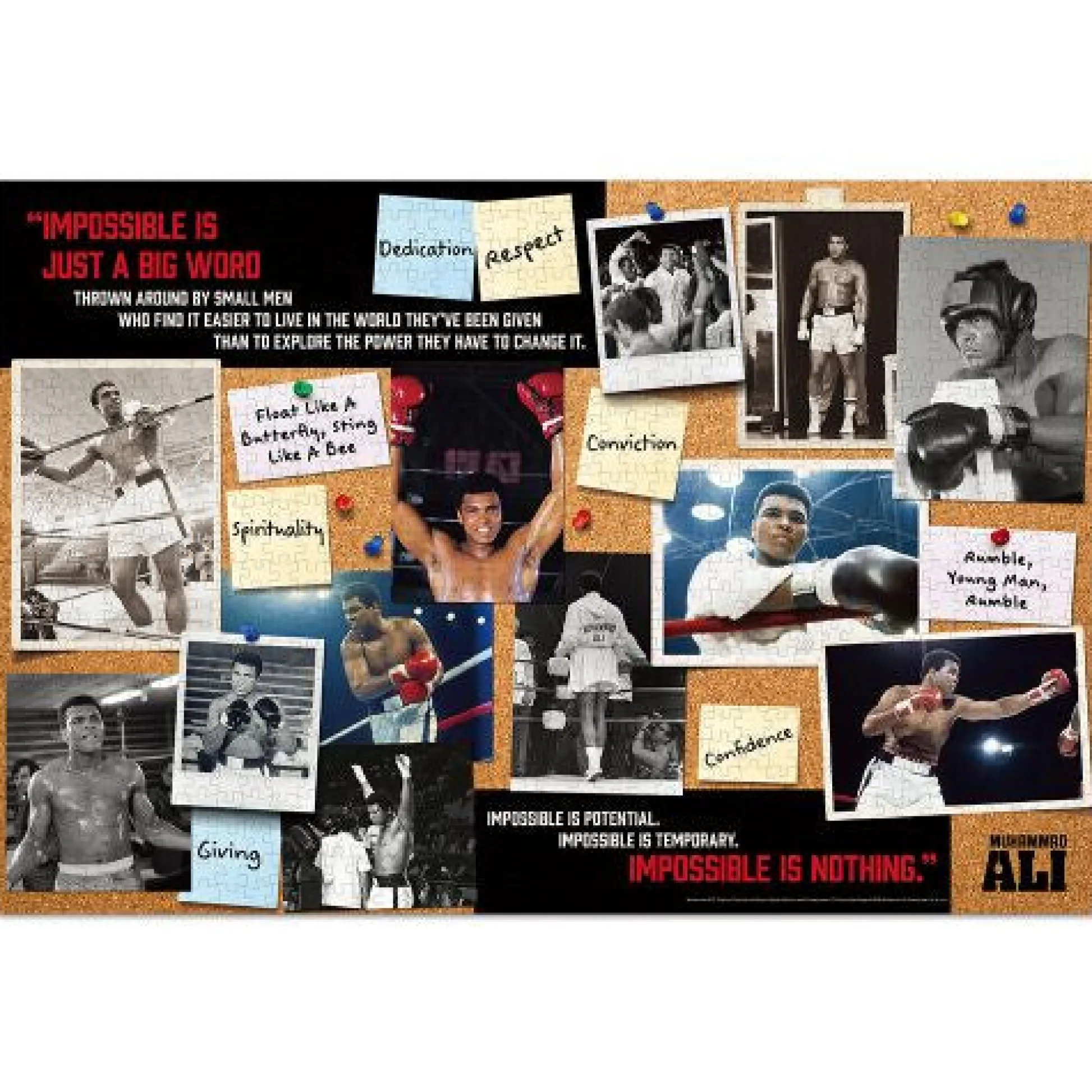 Calendar Holdings, LLC GC Muhammad Ali Legendary Boxer Jigsaw Puzzle - 1000 pc* Puzzles